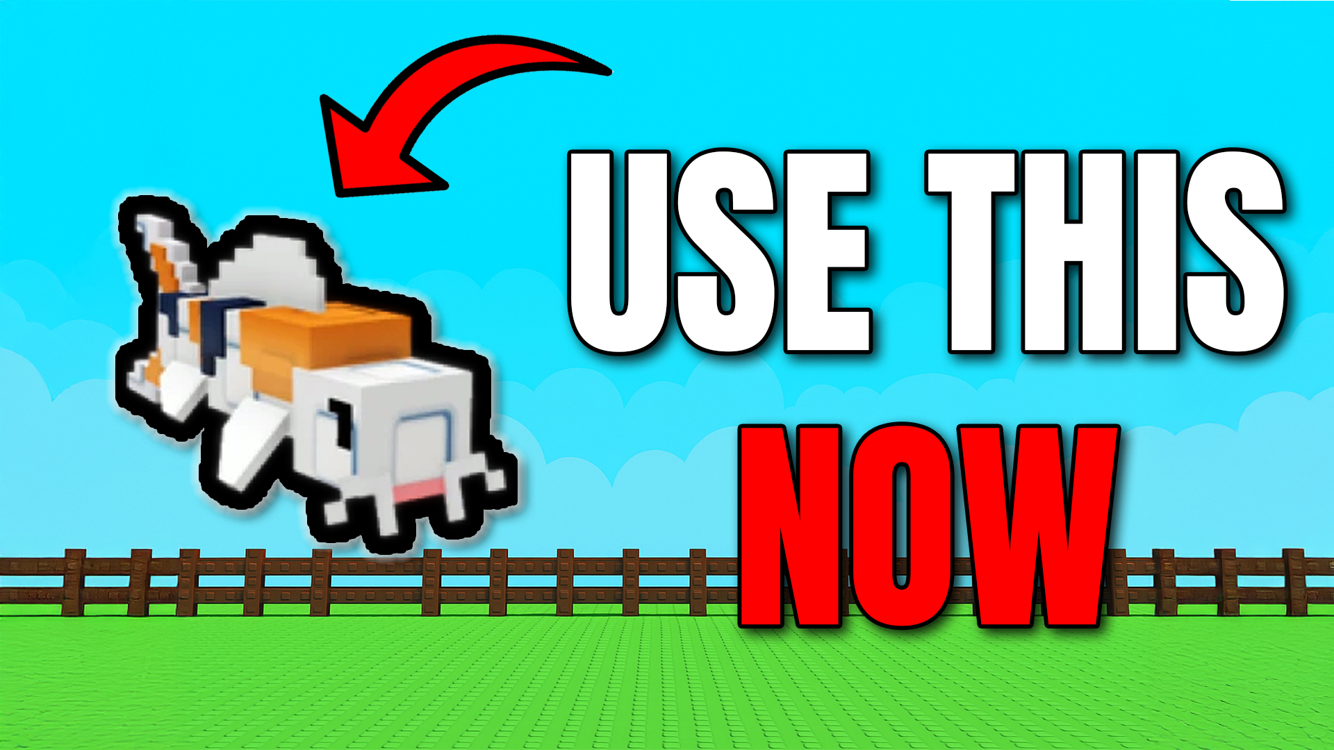 Grow a Garden Koi Pet – Refund Zen Eggs & Infinite EGGS